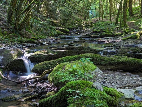 A small waterfall with a moss covered rock in front of it.