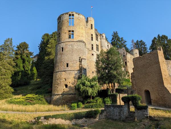 Old castle ruins surrounded by sparse trees.