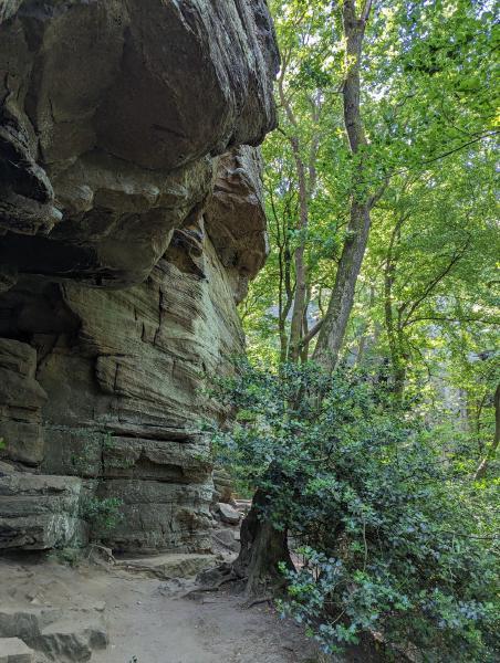 A large rock overhang with a walking trail below it.