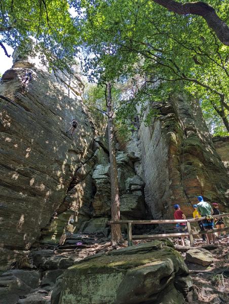 A rock cliff with climbers partway up and others on the ground watching or belaying.