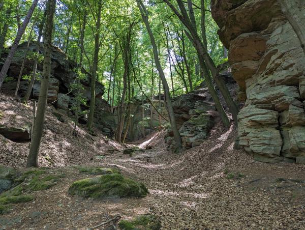 A wide angle photo of the leaf covered ground in a forest and large rock formations on each side of the shot.