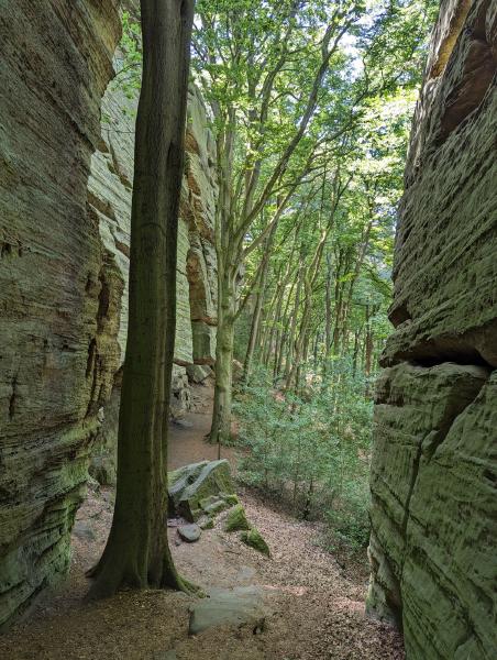A descending walking trail bordered by sheer rock cliffs rising up on each side.