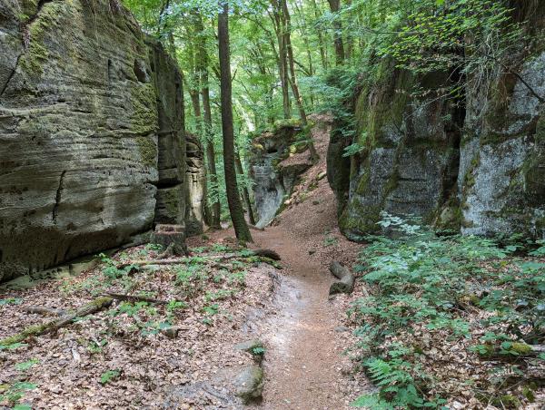 A panoramic view of a walking trail bounded by rock formations and trees.