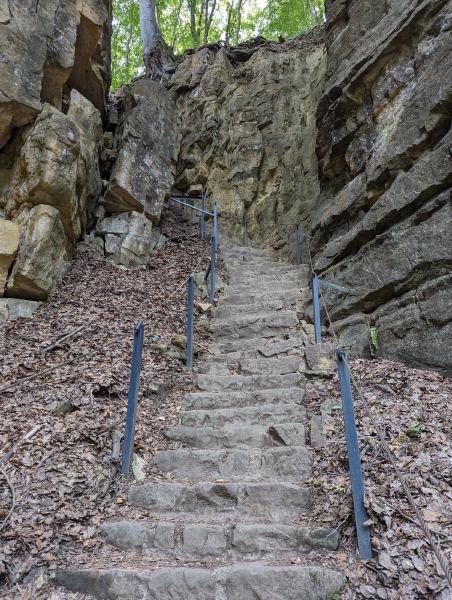 A steep set of stairs cut into solid rock with guide ropes on each side.